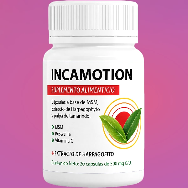 IncaMotion